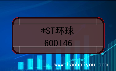 *ST环球的股票代码是(600146)