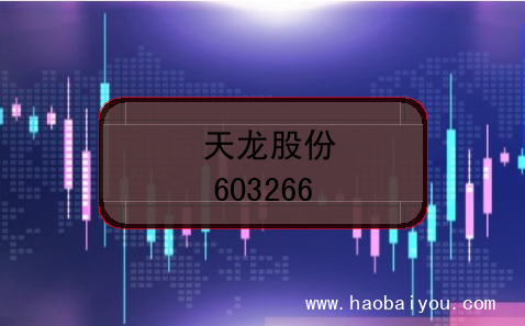 天龙股份上市代码(603266)